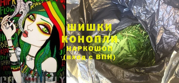 индика Корсаков