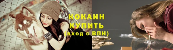 индика Корсаков