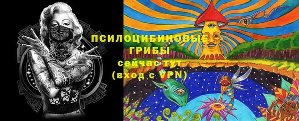 спайс Санкт-Петербург