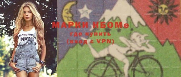 индика Корсаков