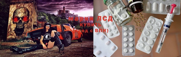 индика Корсаков