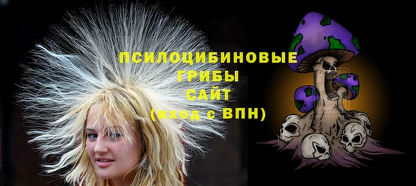 индика Корсаков