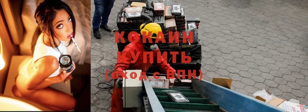 индика Корсаков