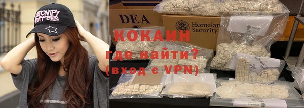 индика Корсаков