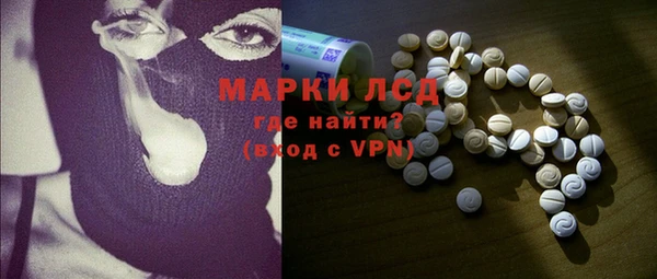 индика Корсаков